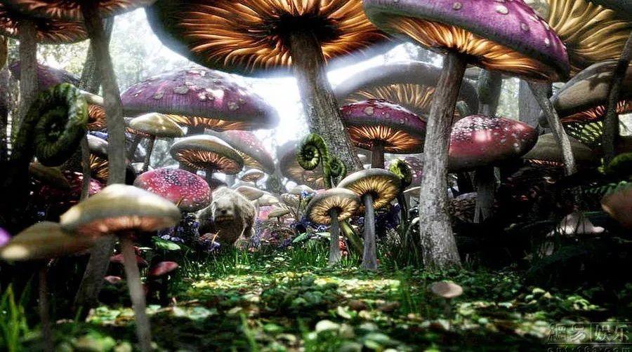 西天取经哪个妖怪在泰山？游戏画面